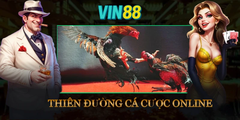 chien-thuat-cuoc-da-ga-an-tien-truc-tiep