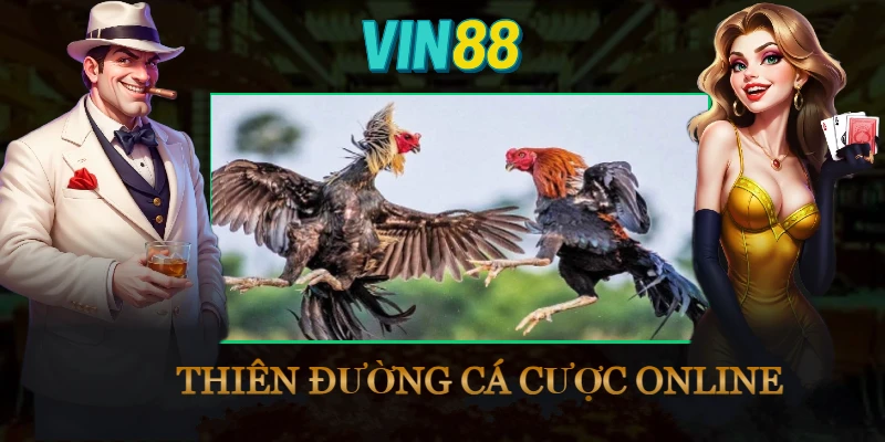 uu-diem-da-ga-thomo-hom-nay