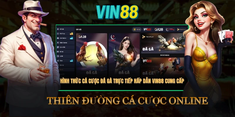 hinh-thuc-ca-cuoc-da-ga-truc-tiep